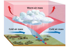 <p>occluded front</p>