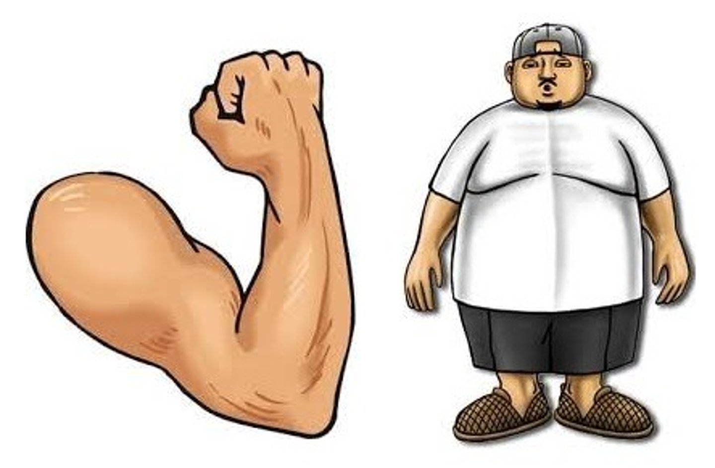 <p>to be strong (heavy , big)</p>