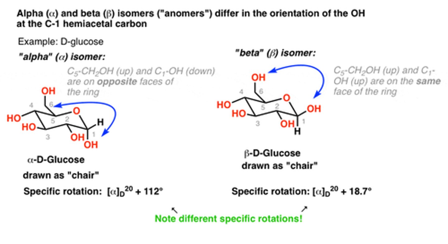 <p>diastereoisomeric form of sugars that forms when a cyclic hemiacetal is created, resulting in an additional asymmetric center</p>