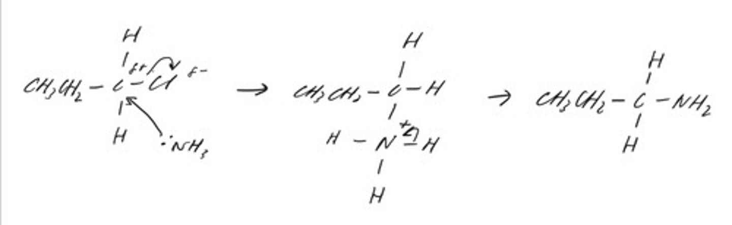 knowt flashcard image