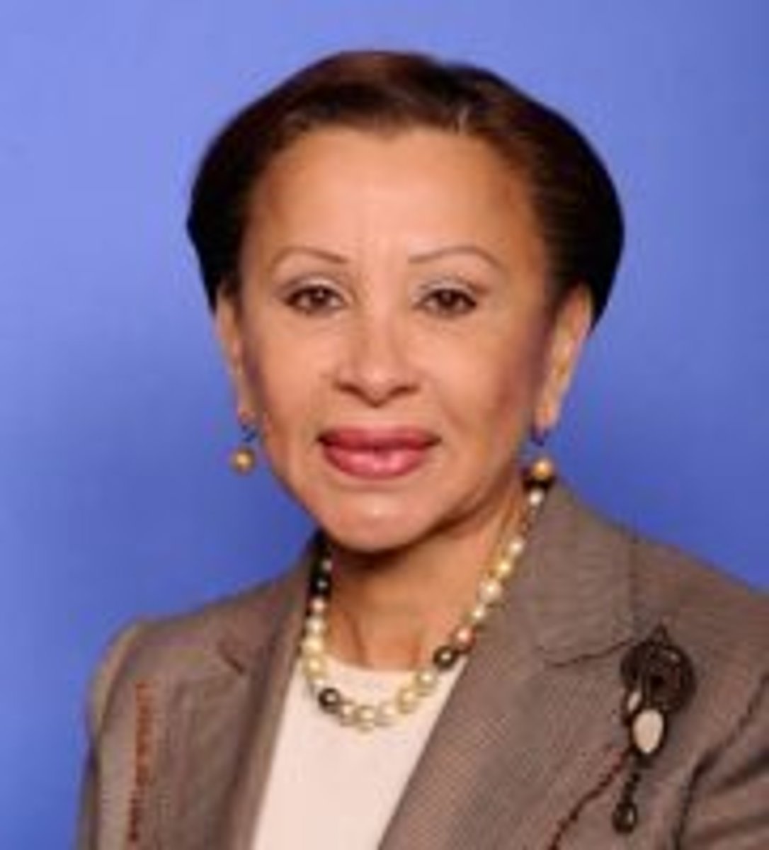 <p>Nydia Velázquez (NY-07)</p>