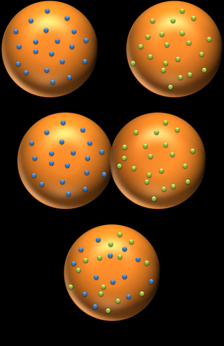 Cell fusion experiments showed that protein molecules can move from place to place within the cell membrane; there is fluidity.