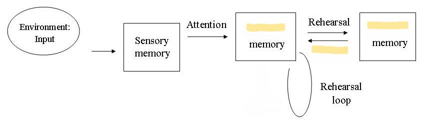 <p>Label the missing components</p>