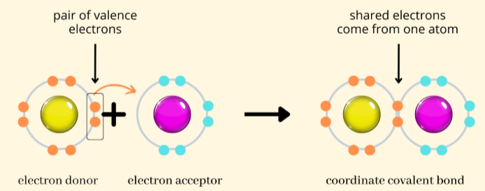 <p>Result when a single atom provides both bonding electrons while the other atom does not contribute any electrons</p><p>Most often found in Lewis acid-base chemistry</p>