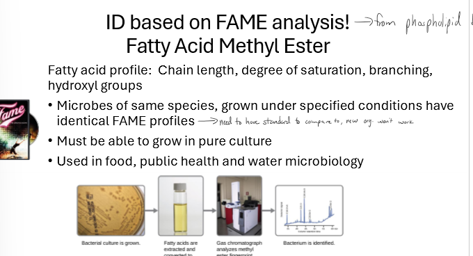 <p>What is FAME analysis and what are some limitations?</p>