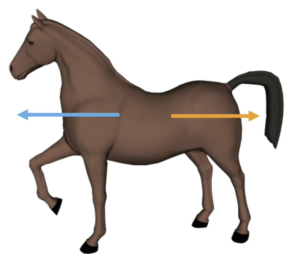 <p>What direction is the orange arrow pointing?</p>