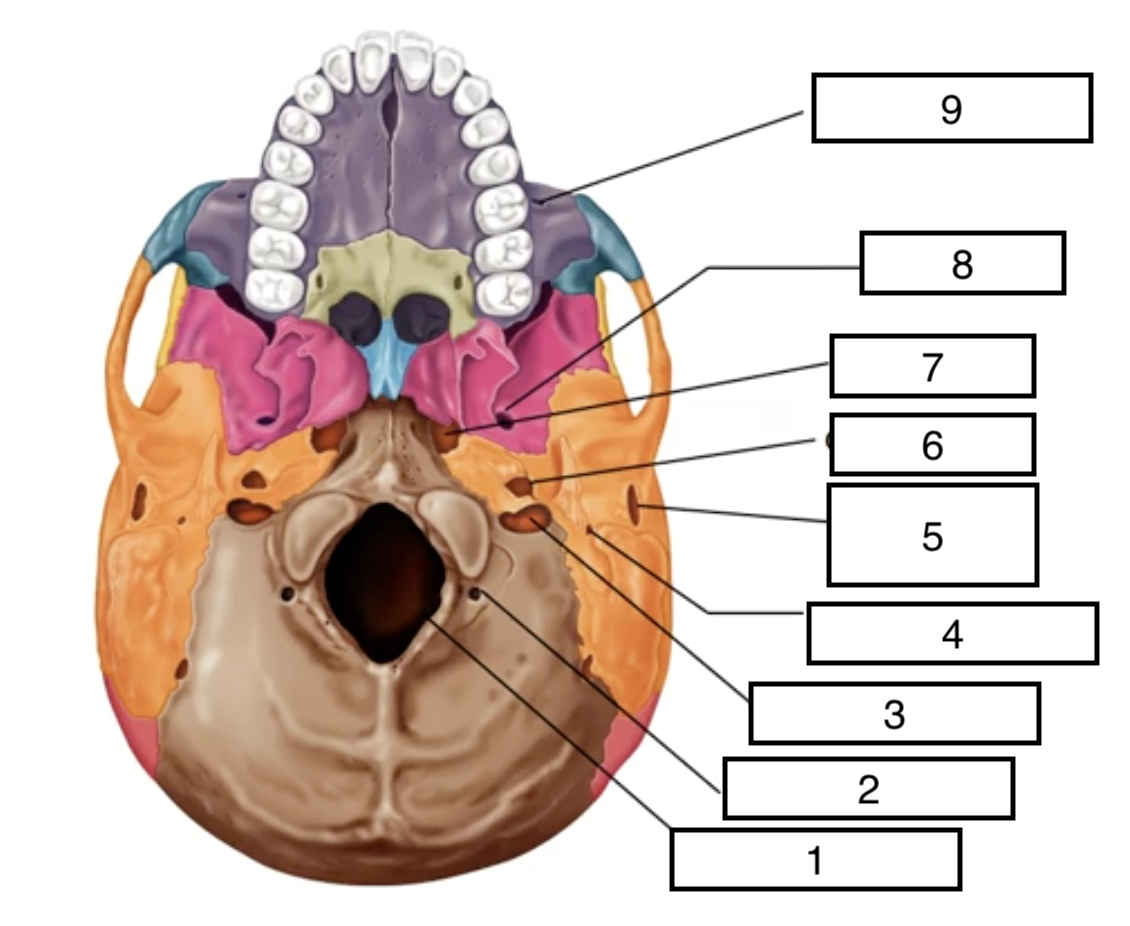 <p>7</p>