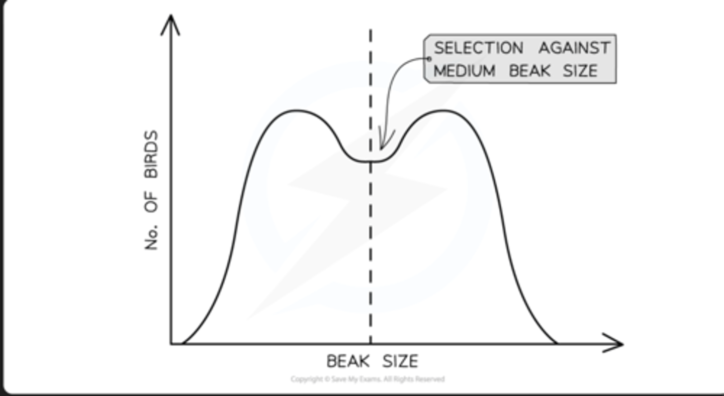 <p>- selects against the average individual in a population</p><p>- happens when habitats/resources undergo a change</p><p>- can result in the formation of an entirely new species (speciation)</p>