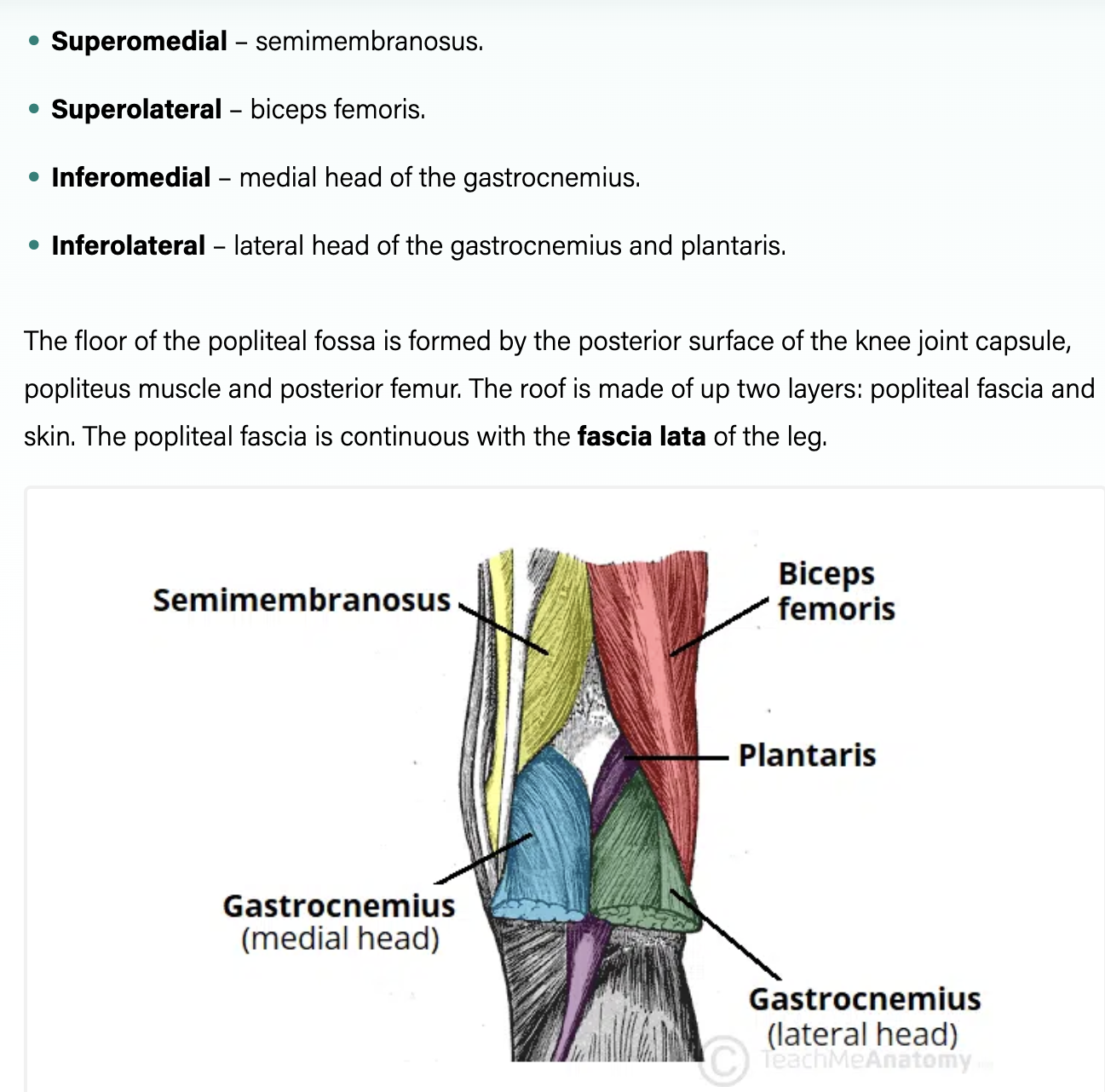 <ul><li><p><strong>Boundaries</strong>: </p><ul><li><p><strong>Superior</strong>: </p><ul><li><p><u>Medial</u> - semitendinosus and semimebranosus</p></li><li><p><u>Lateral</u><span style="background-color: transparent; font-family: Arial, sans-serif, Inter, ui-sans-serif, system-ui, -apple-system, BlinkMacSystemFont, &quot;Segoe UI&quot;, Roboto, &quot;Helvetica Neue&quot;, &quot;Noto Sans&quot;, &quot;Apple Color Emoji&quot;, &quot;Segoe UI Emoji&quot;, &quot;Segoe UI Symbol&quot;, &quot;Noto Color Emoji&quot;; font-size: 1.6rem;"> - biceps femoris</span></p></li></ul></li><li><p><strong>Inferior</strong>: </p><ul><li><p><u>Medial</u> - medial head of gastrocnemius</p></li><li><p><u>Lateral</u> - plantaris and lateral head of gastrocnemius</p></li></ul></li></ul></li><li><p><strong>Floor</strong>: capsule of the knee joint, femur, tibia, popliteus muscle</p></li><li><p><strong>Roof</strong>: fascia and skin</p></li><li><p><strong>Contents</strong>: Popliteal artery and vein, Tibial and common fibular (peroneal) nerves</p></li></ul><p></p>