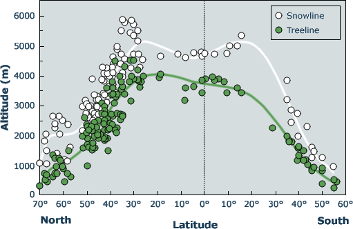 <p>Treelines is where vegetation ends, found at high elevations </p><p><span>Lack of soil</span></p><p class="s16"><span>•Desiccation of leaves in cold weather</span></p><p class="s16"><span>•Short growing season</span></p><p class="s16"><span>Wind</span></p><p class="s16"><span>•Lack of snow, exposing plants to winter drying</span></p><p class="s16"><span>•Excessive snow lasting through the summer</span></p><p class="s16"><span>•Mechanical effects of high winds</span></p><p class="s16"><span>•Rapid heat loss at night</span></p><p class="s16"><span>•Excessive soil temperatures during the day</span></p><p class="s16"><span>•Drought</span></p>