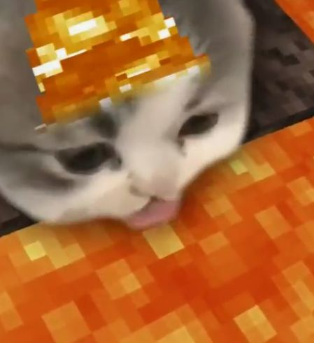 <p>When is Metronidazole used PO v. IV?</p>