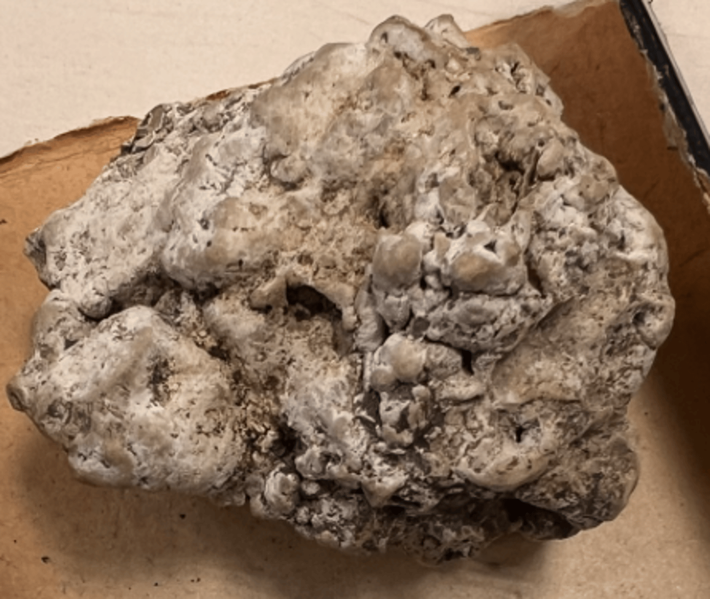 <p>limestone deposit <br>floats in water</p>