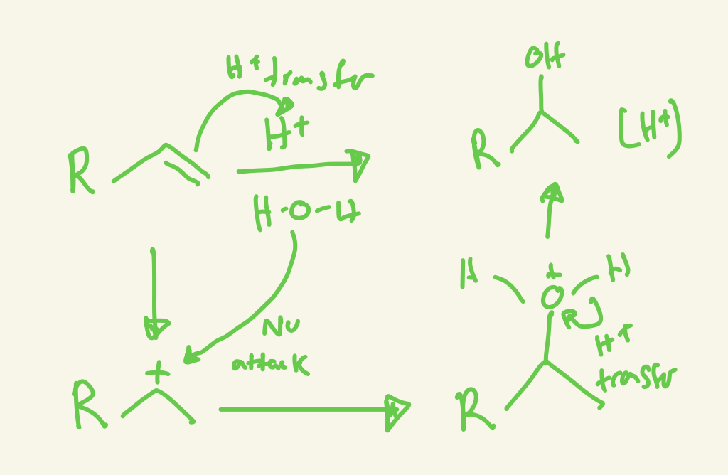 <p>H+ transfer and H2O attacks more substituted carbon cation and then H+ transfer on H2O</p>