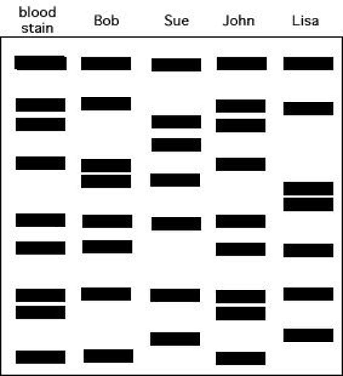 <p>Visual representation of DNA fragments on gel.</p>