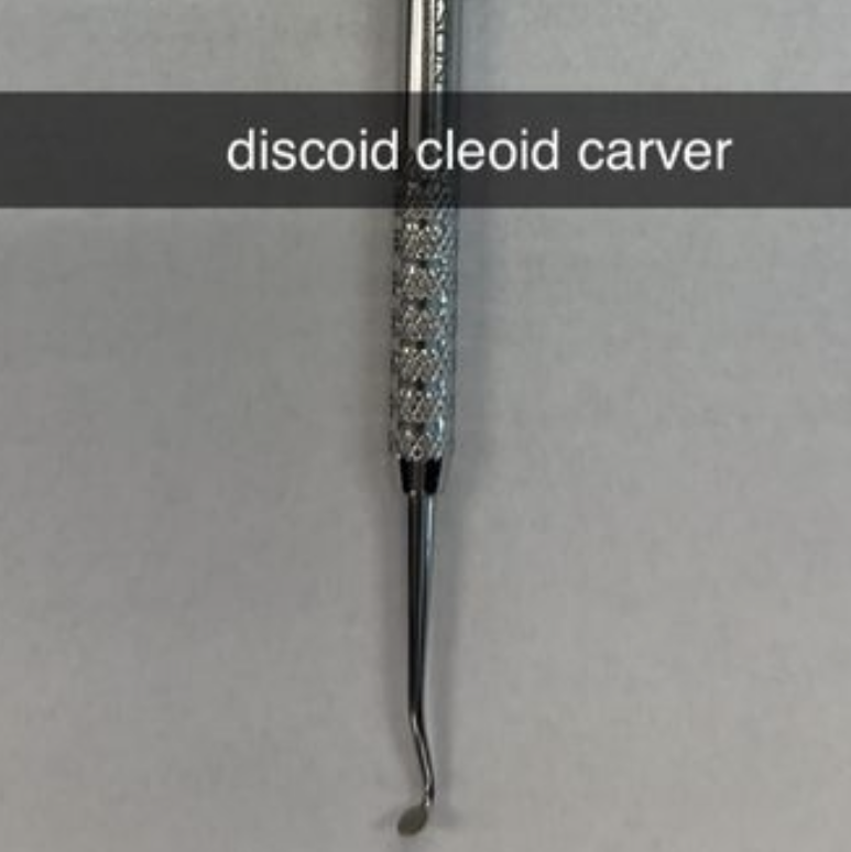 <p>DISCOID CLEOID CARVER</p>