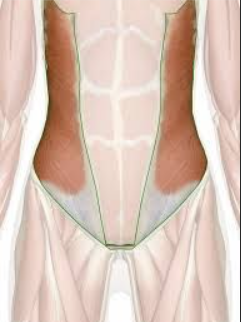 side of abdomen