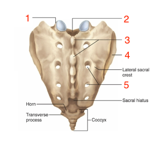 <p>what is #5</p>