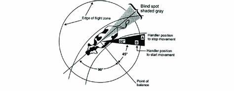 <p>where should handler position not be? where should they be ?</p>