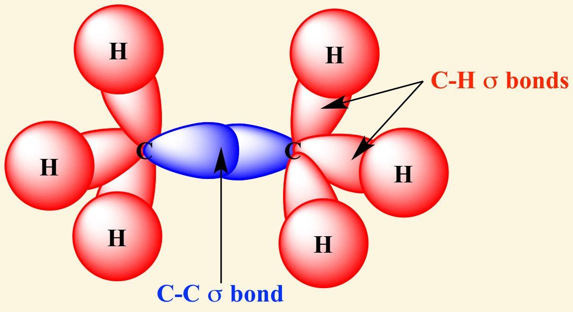 <p>sigma</p>