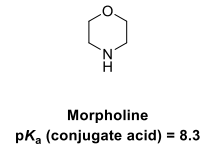 <p>Draw the equilibria for the protonation of this amine base</p>