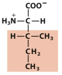 <p>Nonpolar, aliphatic</p>