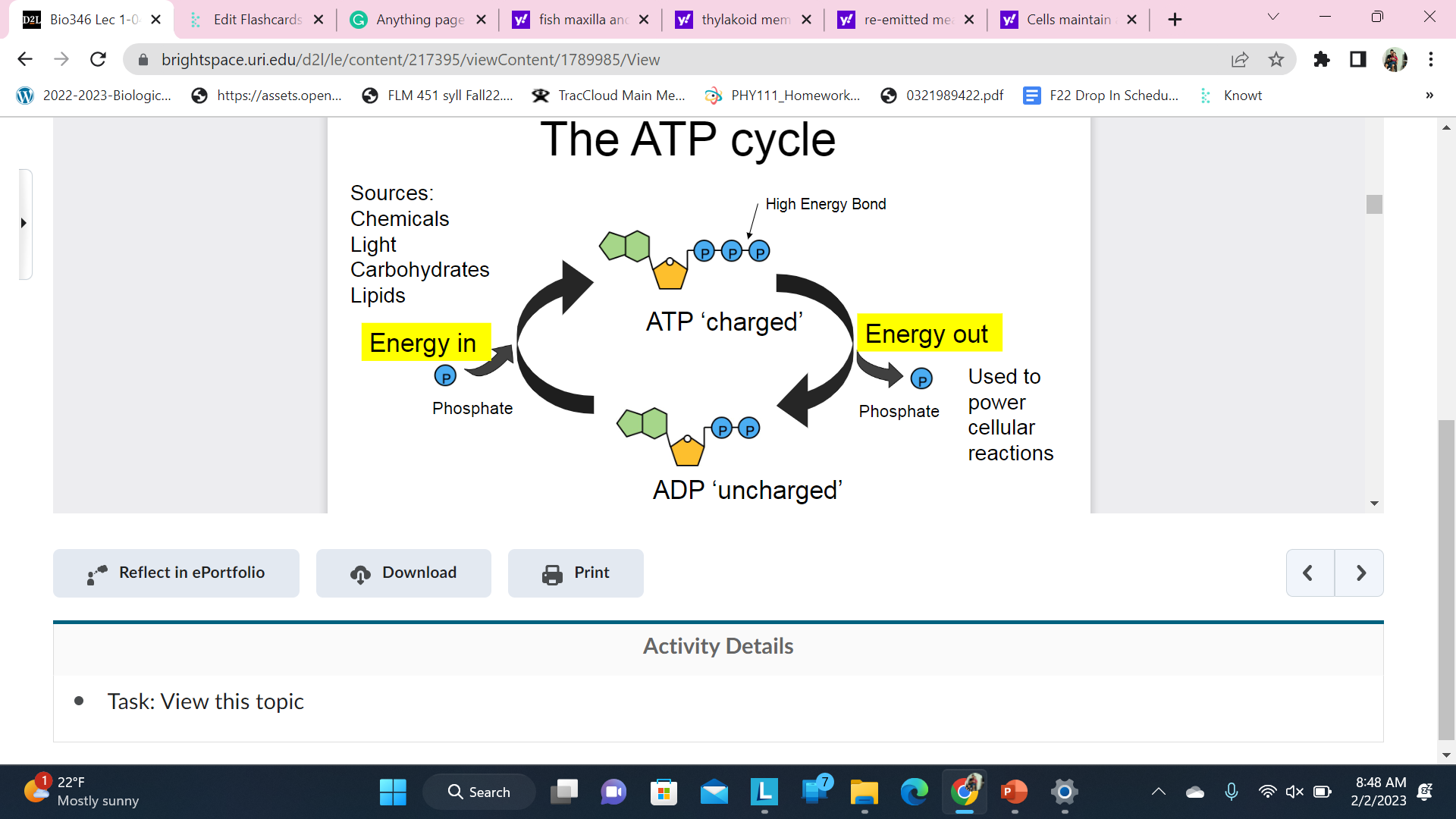 atp adenosine triphosphate the primary energy carrier of life

\
Cells maintain a constant level of ATP in the cytoplasm