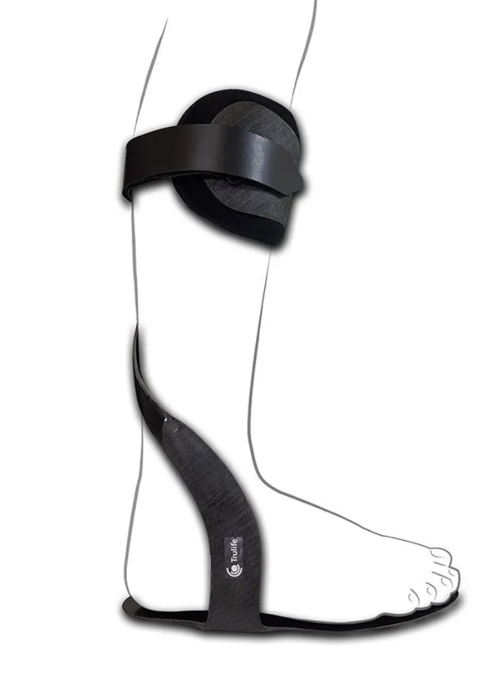 <p>- controls all motion, allows leg to rotate in transverse plane</p><p>- mediodistal</p>