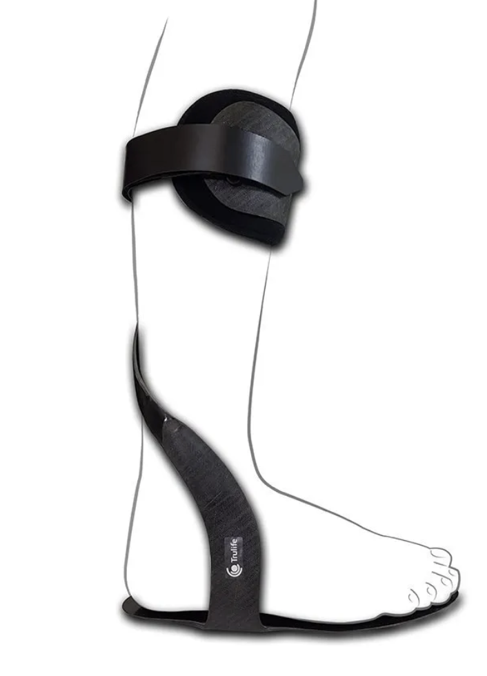 <p>- controls all motion, allows leg to rotate in transverse plane</p>
<p>- mediodistal </p>