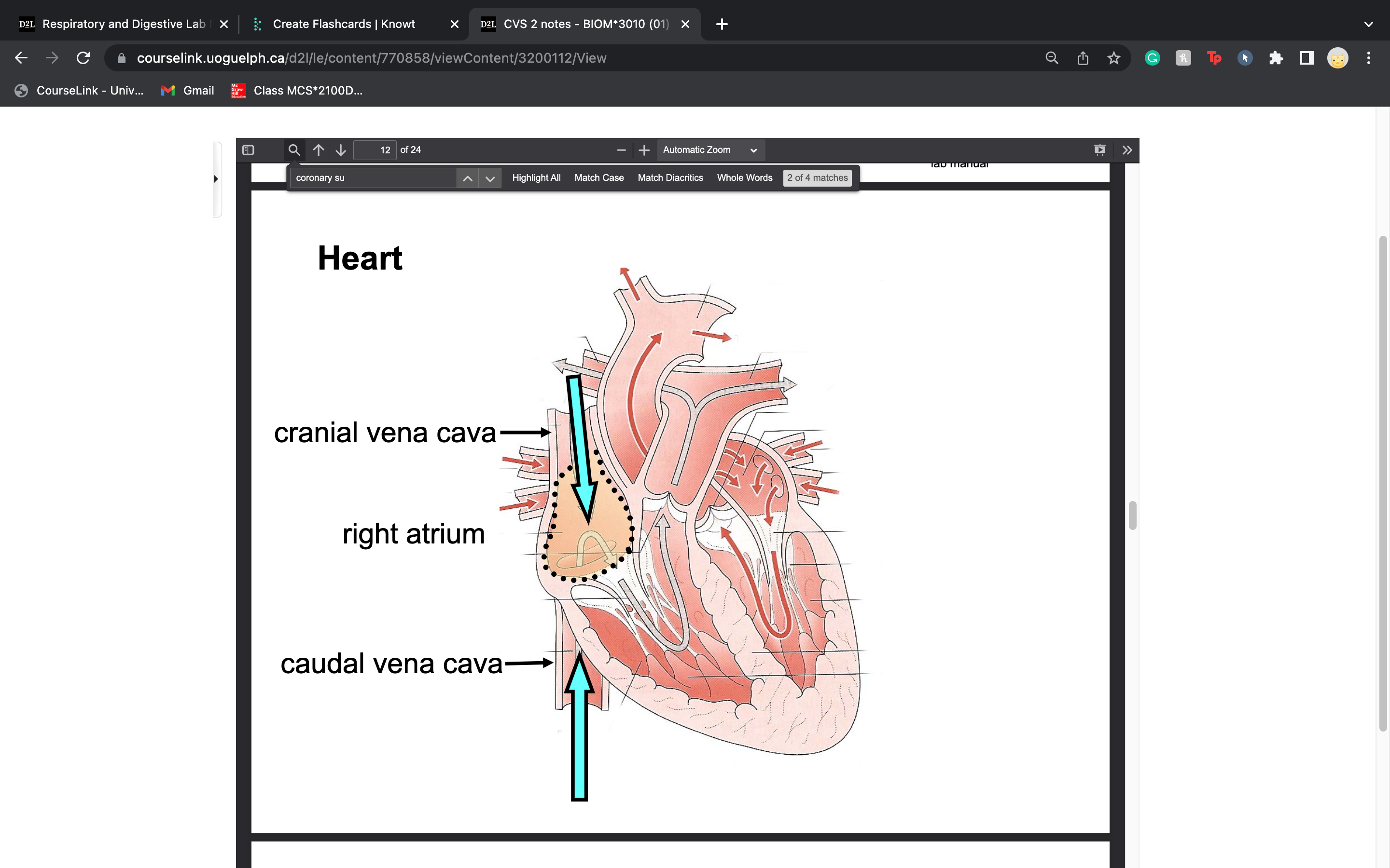 knowt flashcard image