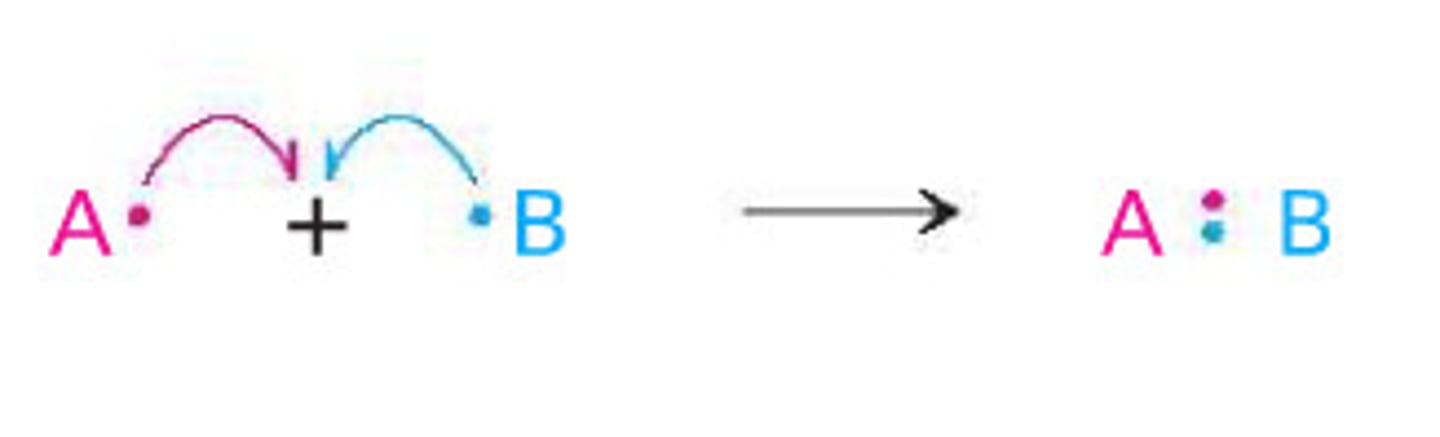 <p>reverse homolytic cleavage</p>