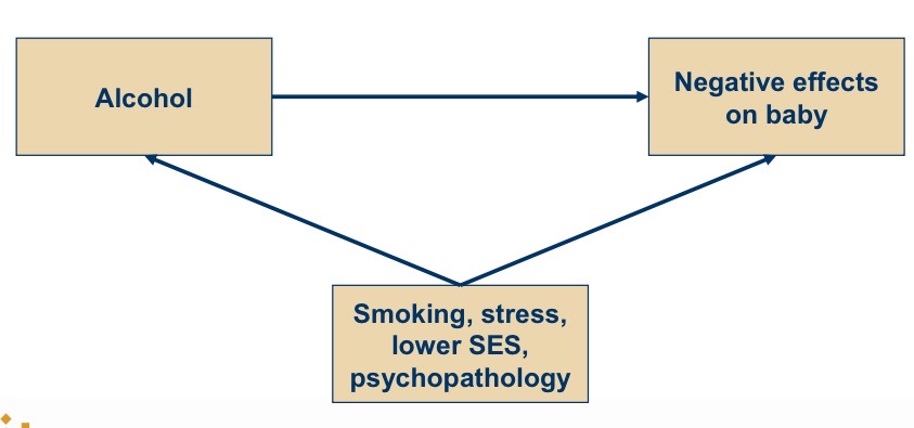 <ul data-type="taskList"><li data-checked="false" data-type="taskItem"><label><input type="checkbox"><span></span></label><div><p>Consequence during pregnancy: Nicotine constricts blood vessels &gt; reduces blood flow, less nutrients and oxygen for the child, strongest effect in last trimester</p></div></li><li data-checked="false" data-type="taskItem"><label><input type="checkbox"><span></span></label><div><p>Possible birth consequences: Increased risk of miscarriage, born too early/too small</p></div></li><li data-checked="false" data-type="taskItem"><label><input type="checkbox"><span></span></label><div><p>Later potential consequences: Asthma, Cognitive problems, Behavioural regulation problems, ADHD, Antisocial behaviour</p></div></li></ul>
