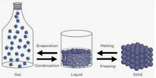 <p>Material through which a wave travels.</p>