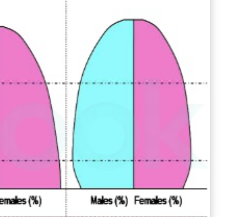 <p>Slow declining </p><ul><li><p>birth rate lower than death </p></li><li><p>Population decline </p></li></ul>