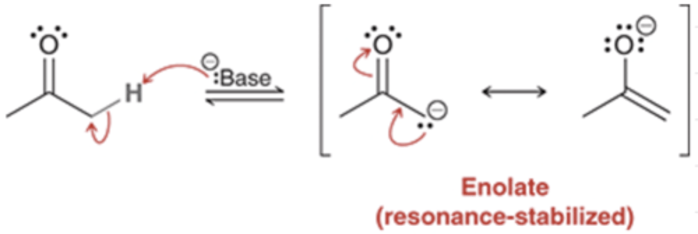 <p>⍺ carbon of ketone treated w/ strong base → enolate intermediate</p><p>enolates have 2 nucleophilic sites: O &amp; C</p><p>(C attacks are more common)</p>