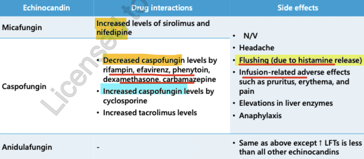 <ul><li><p><span style="color: blue;"><strong>used in combo w azoles and polyenes (these are echinocandins)</strong></span></p></li><li><p>can be <span style="color: green;"><strong>used more in immunocompromised patients</strong></span></p></li><li><p><span style="color: blue;"><strong>narrow spectrum of activity</strong></span></p></li><li><p>Fungicidal against Candida spp</p></li><li><p>s/e:</p><ul><li><p>very <span style="color: blue;"><strong>few toxic s/e bc their MOA is not found in mammalian cells</strong></span></p></li><li><p><span style="color: red;">increase LFTs</span></p></li><li><p><span style="color: red;">HA</span></p></li><li><p><span style="color: red;">histamine release (rash)</span></p></li><li><p>phlebitis (due to IV administration)</p></li><li><p>fever</p></li></ul></li><li><p>advantages:</p><ul><li><p><span style="color: blue;"><strong>extremely safe antifungals,</strong></span> relative to other antifungal classes</p></li><li><p>do not need dose adjustments</p></li></ul></li><li><p>disadvantages:</p><ul><li><p>high cost</p></li><li><p>IV</p></li></ul></li></ul><p></p>