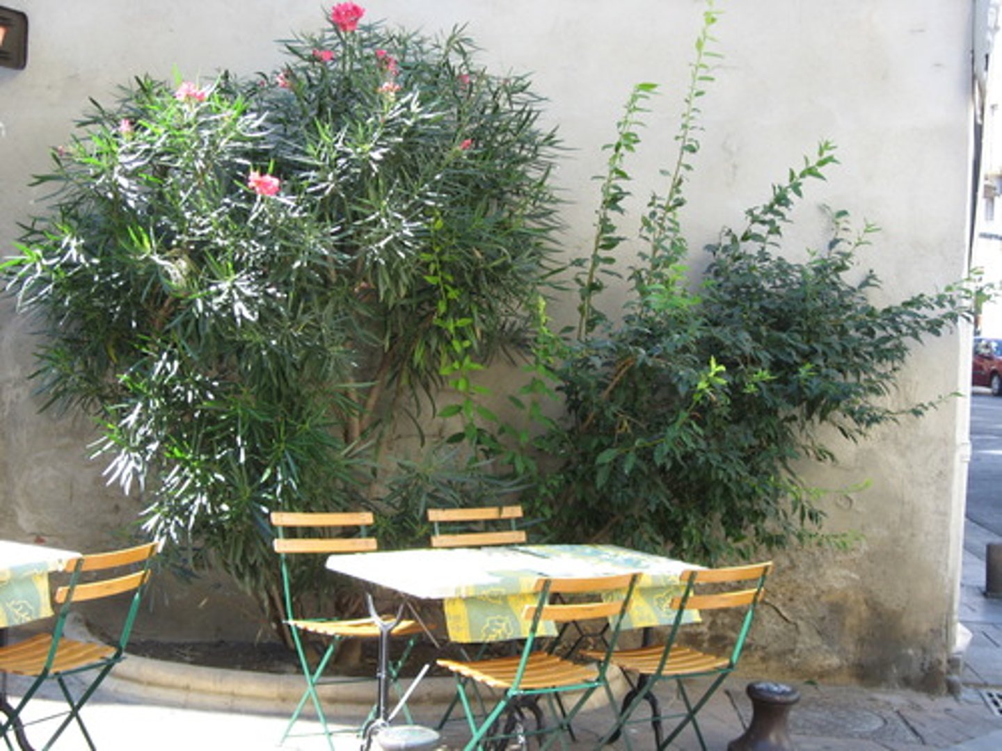 <p>a open table</p>