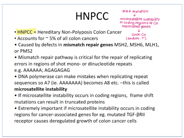 <p><strong>HNPCC </strong>(hereditary non-polyposis colon caner)</p><p>MMR mutation causes microsatellite instability in coding regions of cancer associated genes</p>