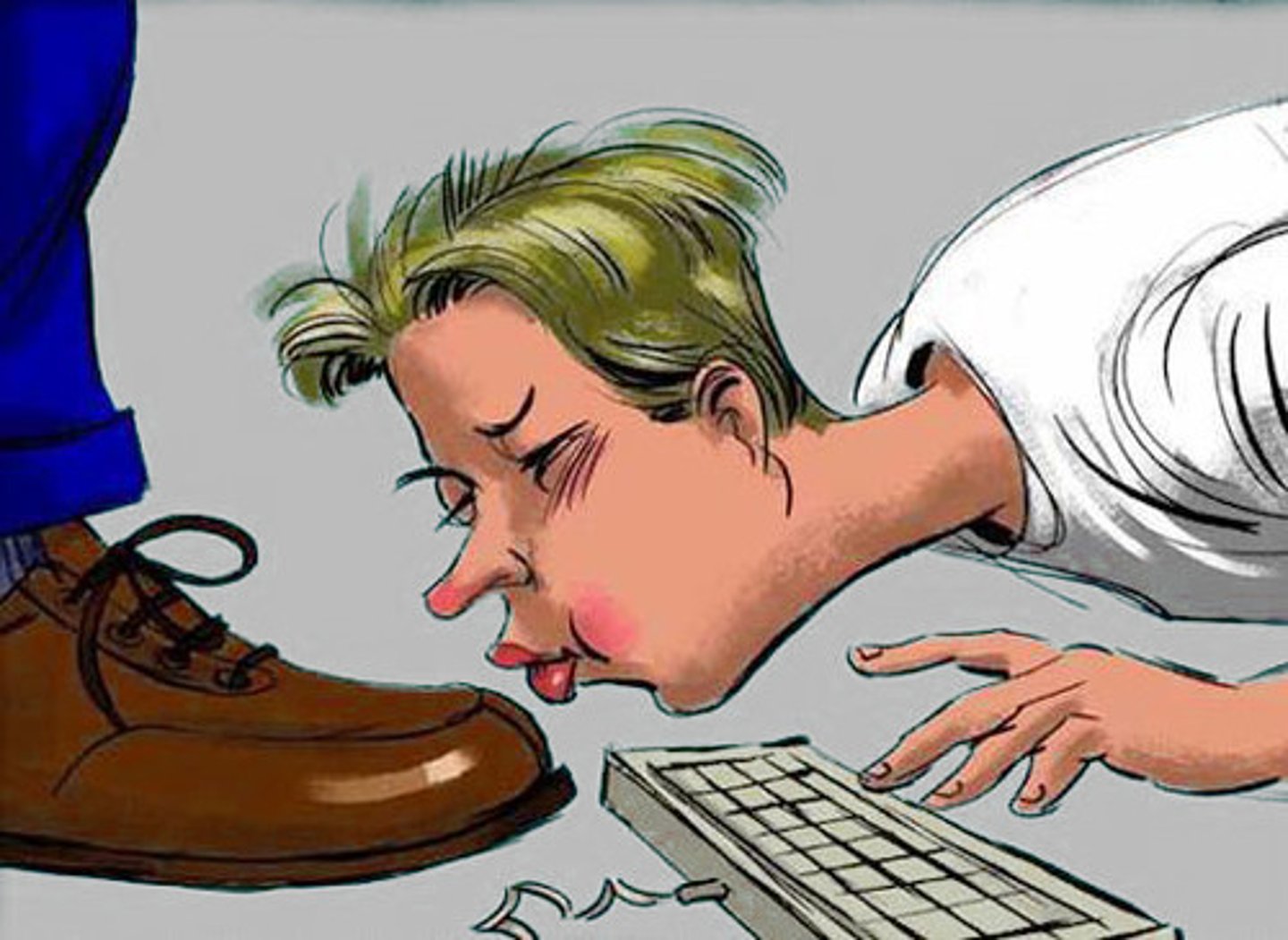 <p>a person who praises important or powerful people too much and in a way that is not sincere, especially in order to get something from them</p>