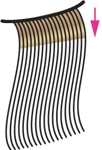 <p><span style="color: rgb(0, 0, 0)">The following illustration depicts which color application technique</span></p><p>a.slicing</p><p>b. base-to-ends</p><p>c. ends-to-base</p><p>d. base (retouch)</p>