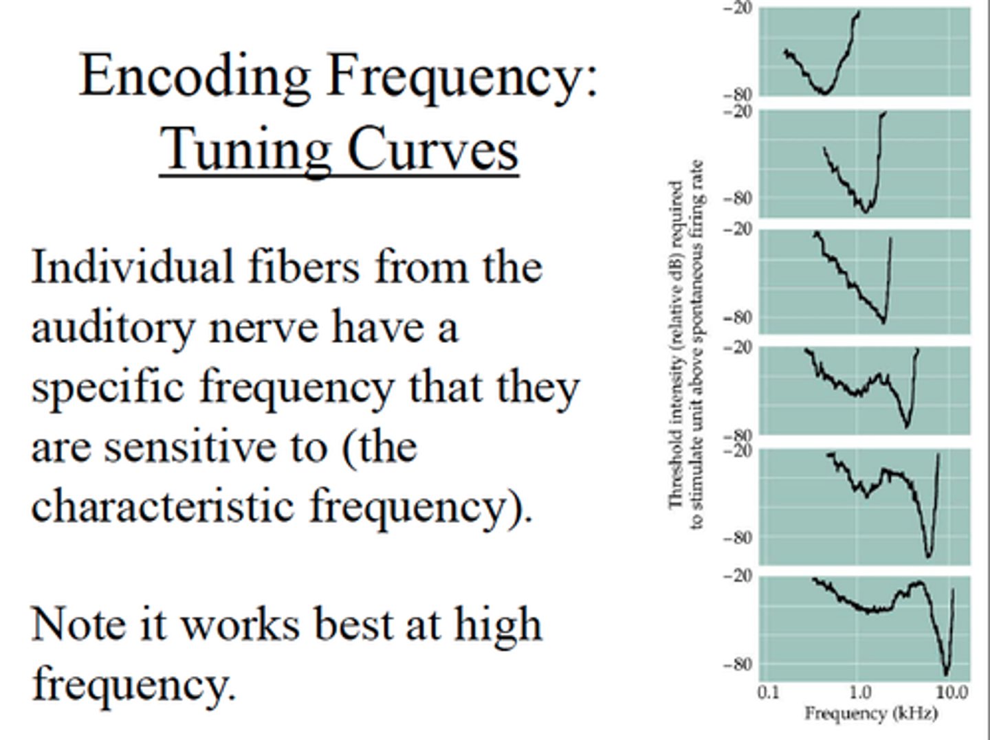 <p>A graph that relates neural activity to a continuous range of stimulus properties</p>