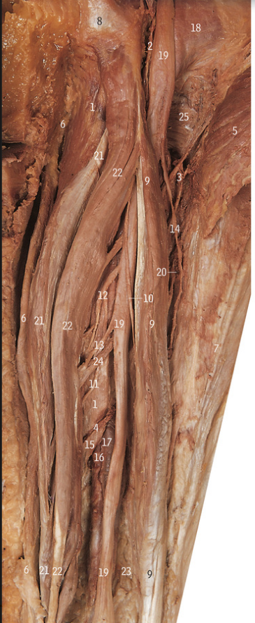 <p>1</p>