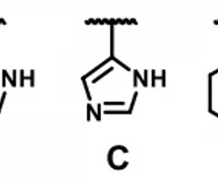 <p><span>which molecule cannot serve as a HB acceptor </span></p>