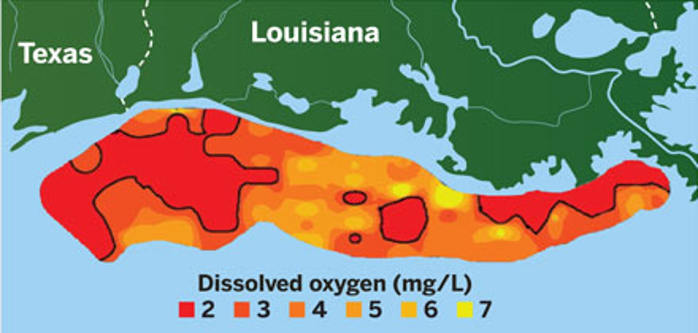 <p>Largest hypoxic zone in the US (about the size of Connecticut). Result of excess nutrients from the Mississippi River and seasonal stratification in the Gulf. This stratification prevents the mixing of oxygen-rich surface water with oxygen-poor water on the bottom of the Gulf.</p>