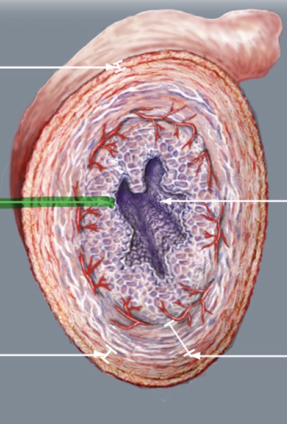 <p>Wat is hier aangeduid </p>