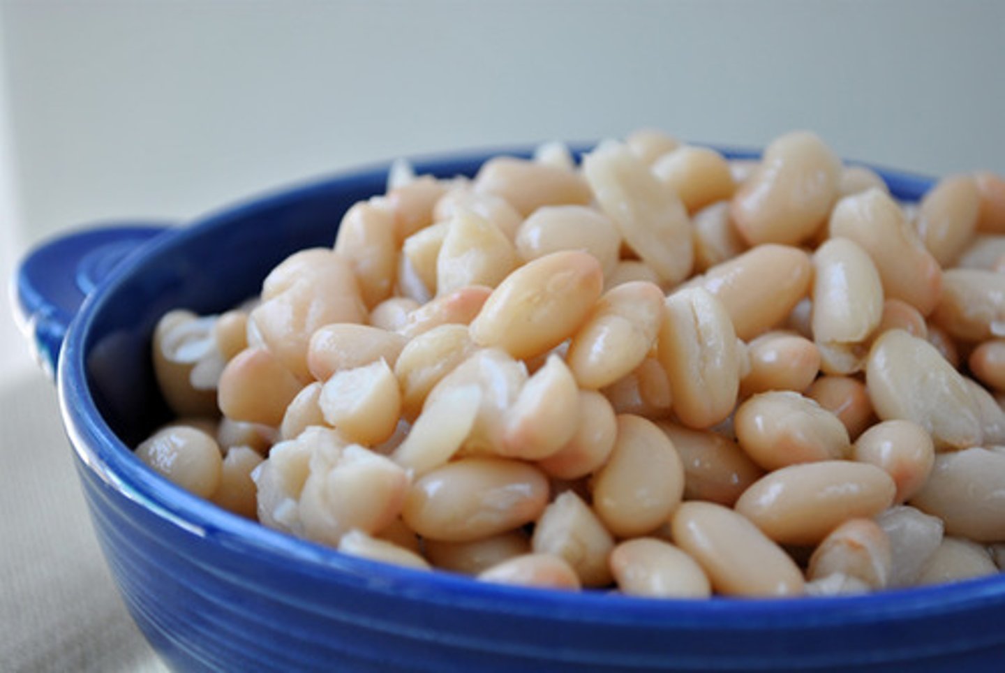 <p>white beans</p>