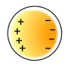 <p>separation of positive and negative charges in a molecule; can be caused by a redistribution of electron density</p>