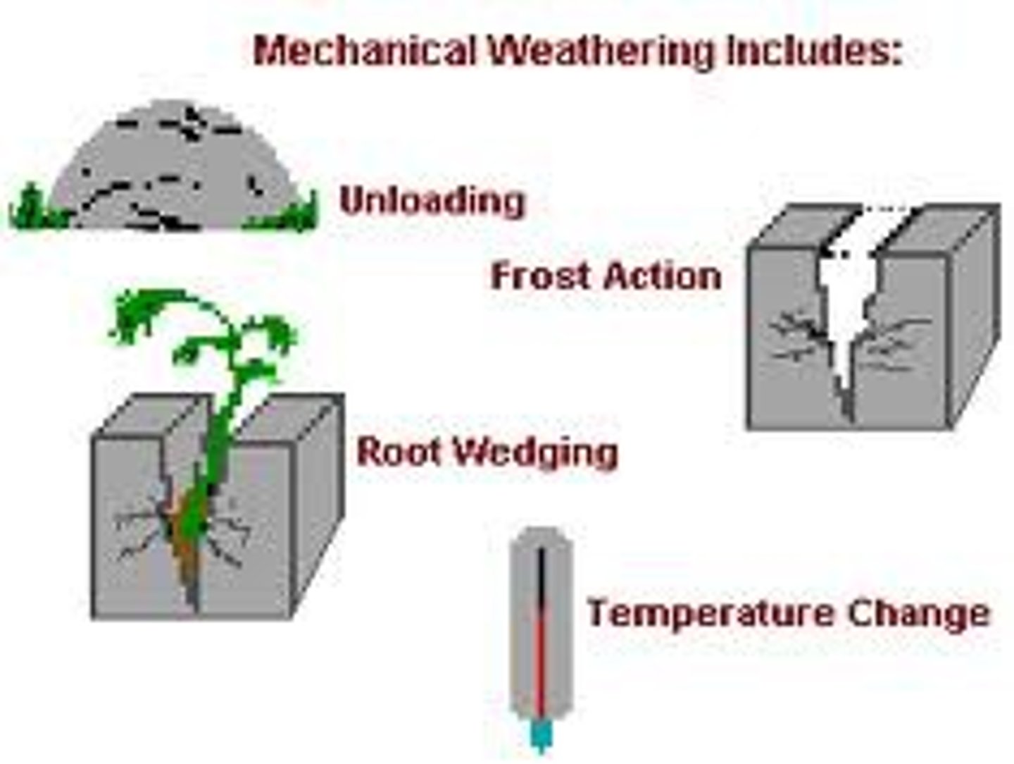 <p>break down of rocks: creates soil</p>