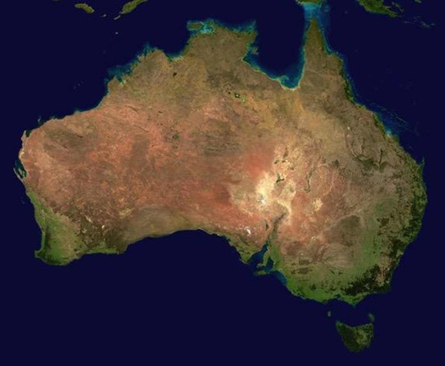 <p>Example of rapid population growth and control.</p>
