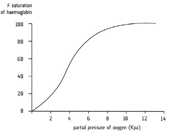 <p><span>The oxygen dissociation curve shows the relationship between the oxygen partial pressure and how much oxygen is carried by haemoglobin.</span></p>