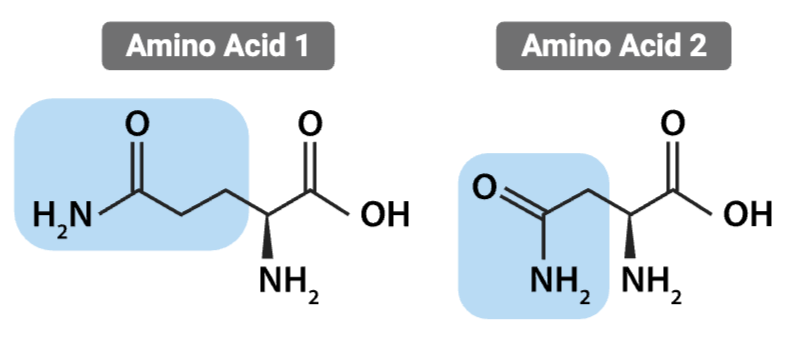 <p><span>What is the most likely interaction between the R groups of these amino acids?</span></p>